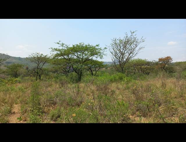 1HA SMALLHOLDING FOR SALE IN NELSPRUIT RURAL
